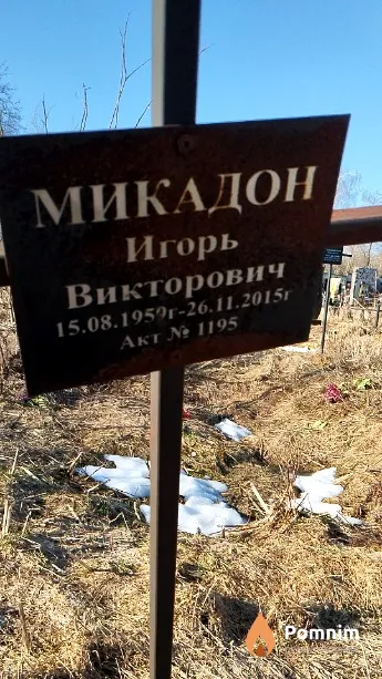 Микадон Игорь Викторович