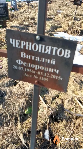 Чернопятов Виталий Федорович