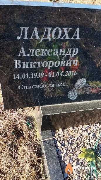 Ладоха Александр Викторович