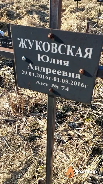 Жуковская Юлия Андреевна