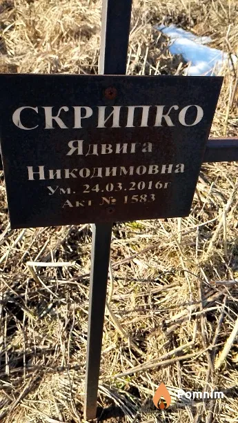 Скрипко Ядвига Никодимовна