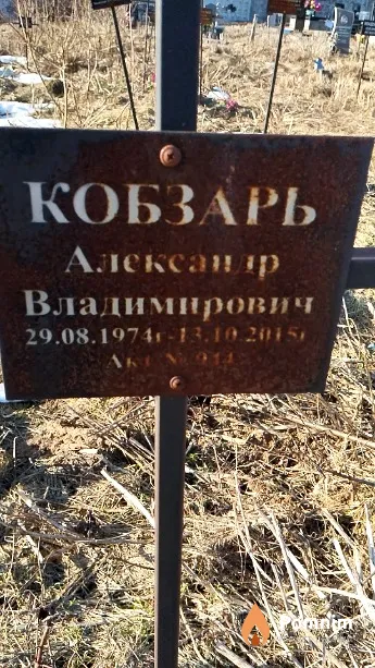 Кобзарь Александр Владимирович