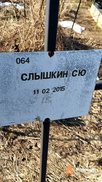 Слышкин С Ю