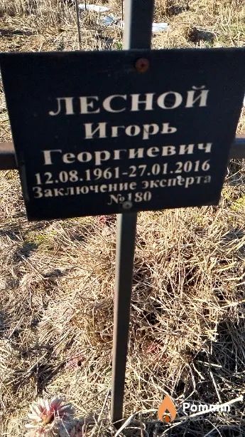 Лесной Игорь Георгиевич