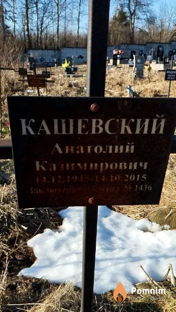 Кашевский Анатолий Казимирович