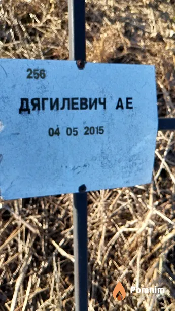 Дягилевич А Е