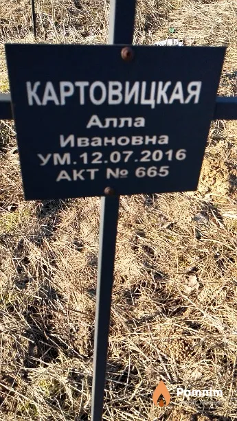 Картовицкая Алла Ивановна