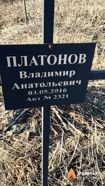Платонов Владимир Анатольевич