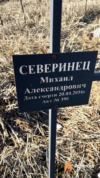 Северинец Михаил Александрович