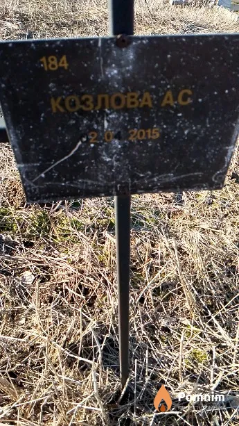 Козлова А С