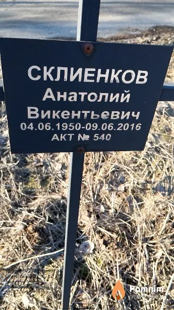 Склиенков Анатолий Викентьевич