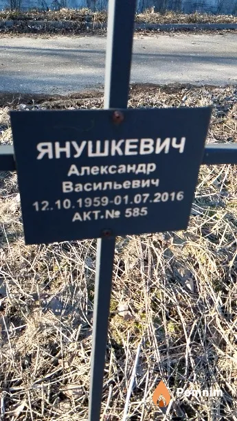 Янушкевич Александр Васильевич