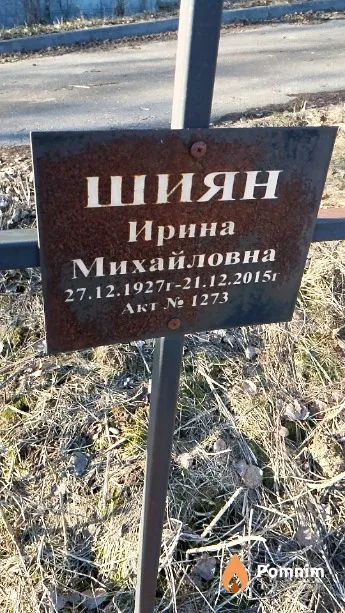 Шиян Ирина Михайловна