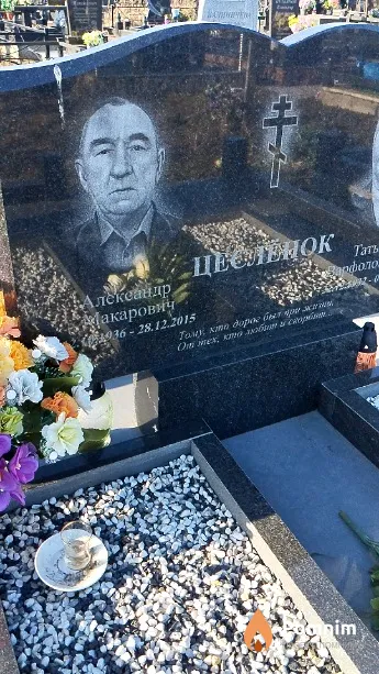 Цеслёнок Александр Макарович