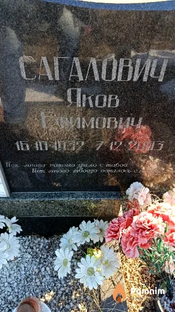 Сагалович Яков Ефимович