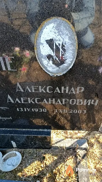 Витковский Александр Александрович