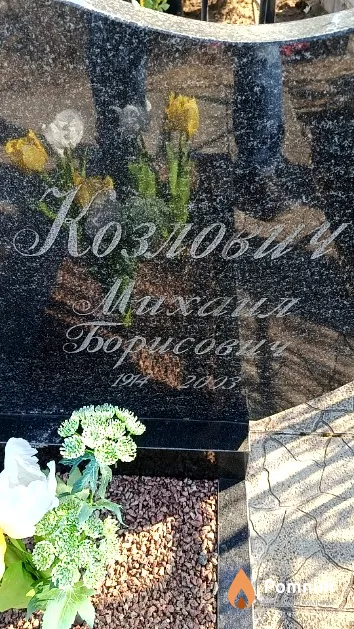 Козлович Михаил Борисович