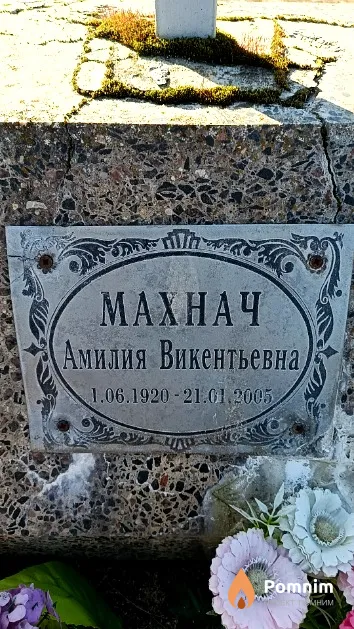 Махнач Амилия Викентьевна