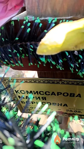 Комиссарова Мария Борисовна