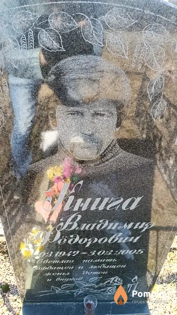 Книга Владимир Фёдорович