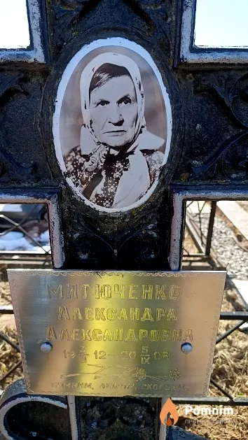 Митюченко Александра Александровна
