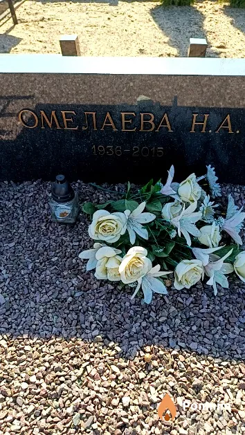 Омелаева Н. А.