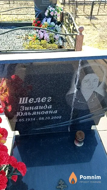 Шелег Зинаида Юльяновна