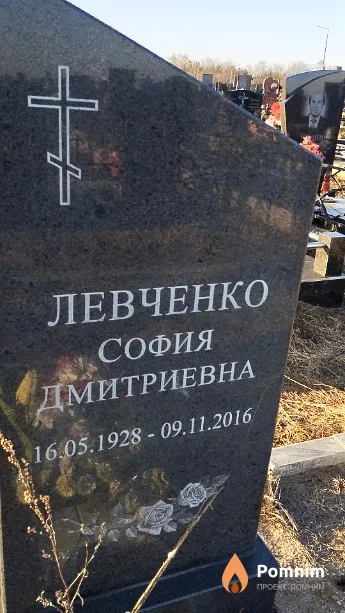 Левченко София Дмитриевна
