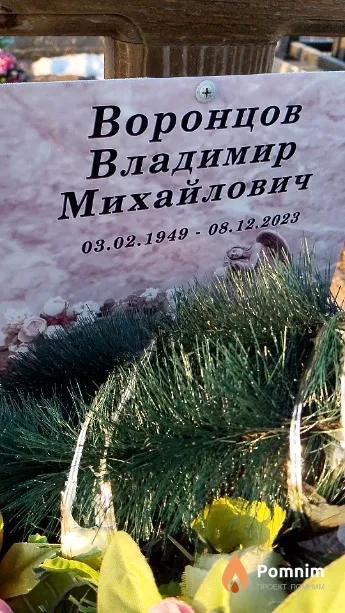 Воронцов Владимир Михайлович