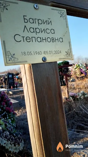 Багрий Лариса Степановна