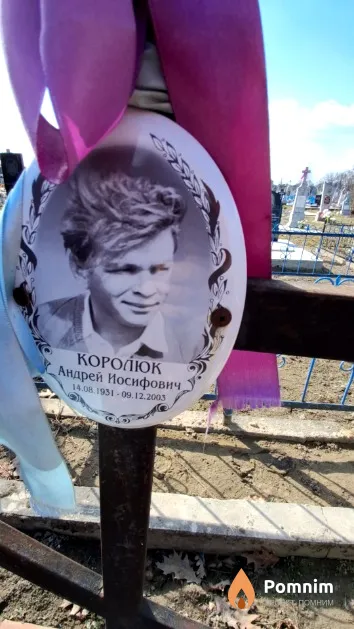 Королюк Андрей Иосифович
