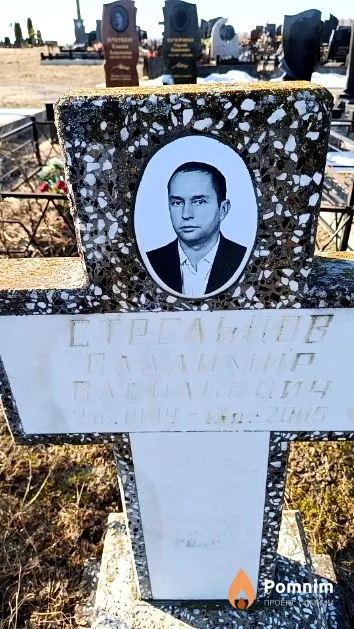 Стрельцов Владимир Васильевич