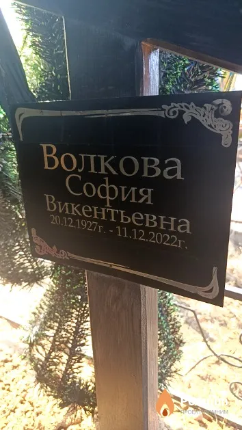 Волкова София Викентьевна