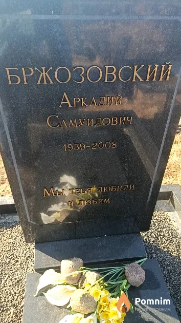 Бржозовский Аркадий Самуилович