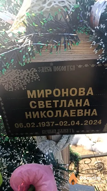 Миронова Светлана Николаевна