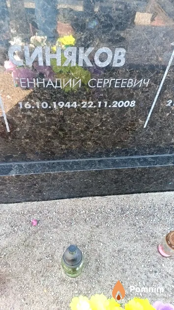 Синяков Геннадий Сергеевич