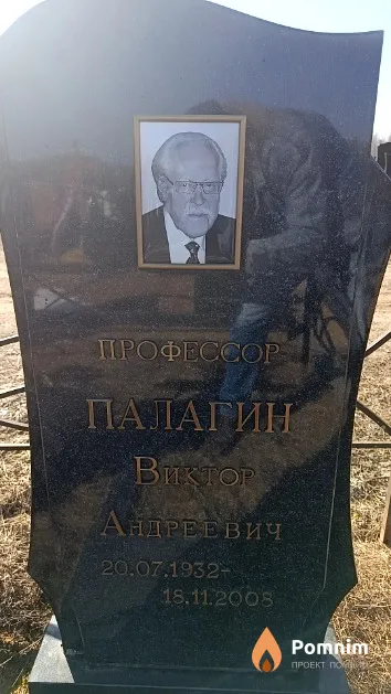 Палагин Виктор Андреевич