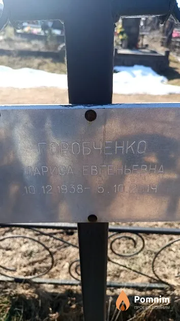 Горобченко Лариса Евгеньевна