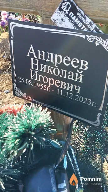 Андреев Николай Игоревич
