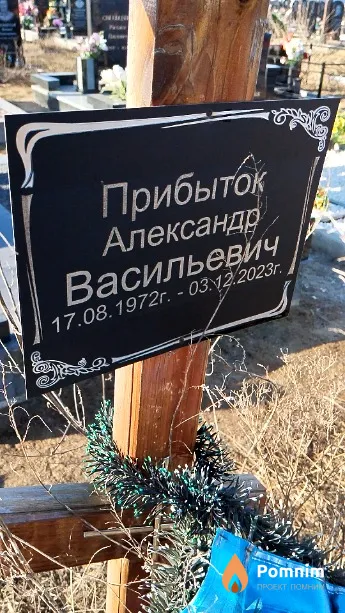 Прибыток Александр Васильевич