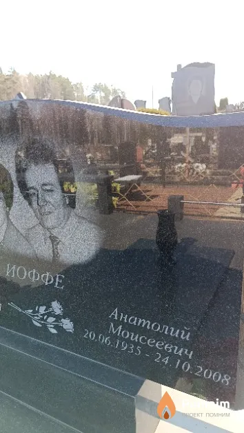 Иоффе Анатолий Моисеевич