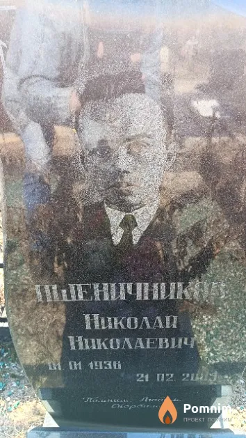 Пшеничников Николай Николаевич