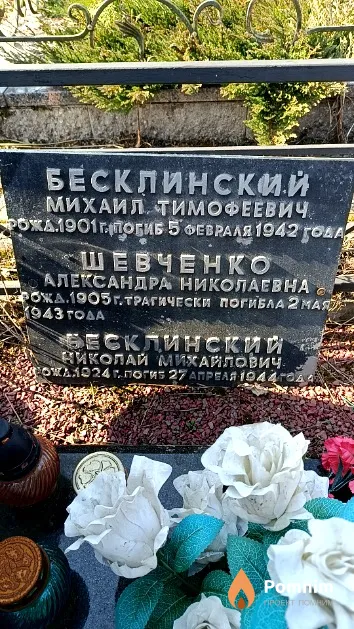Шевченко Александра Николаевна