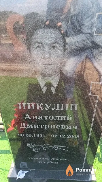 Никулин Анатолий Дмитриевич