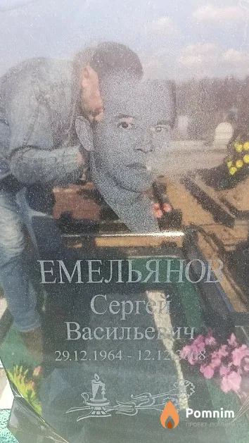 Емельянов Сергей Васильевич