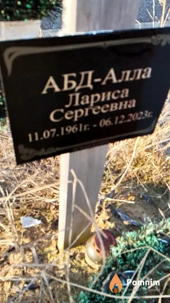 АБД-Алла Лариса Сергеевна
