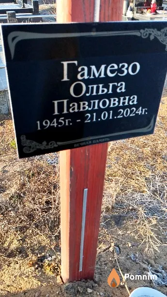 Гамезо Ольга Павловна