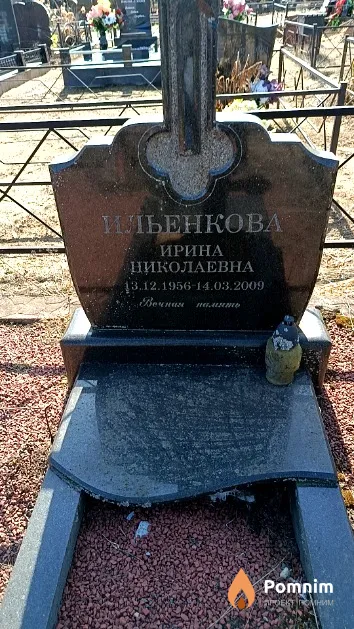 Ильенкова Ирина Николаевна