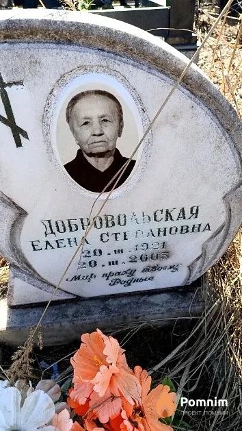 Добровольская Елена Степановна