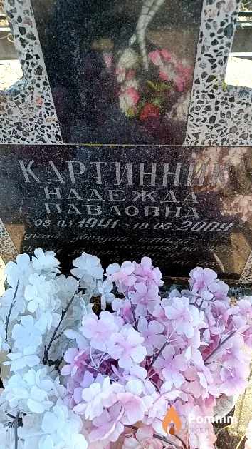 Картинник Надежда Павловна